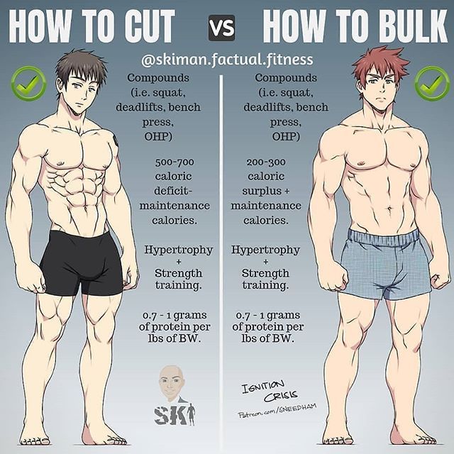 cutting vs bulking,
