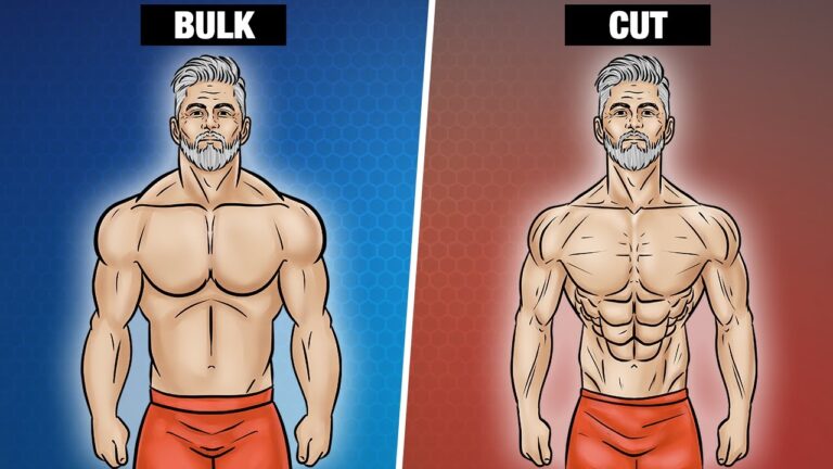 cutting vs bulking,