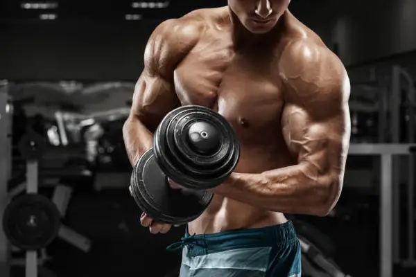 how to cycle SARMs